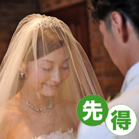 先得限定プラン