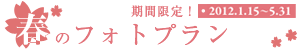 春のフォトプラン